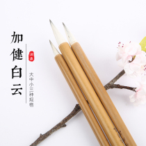 Jing Ding brush set beginner small Kai sheep small size Baiyun Mei traditional Chinese painting and brush calligraphy introductory students special regular script cursive script cursive writing brush