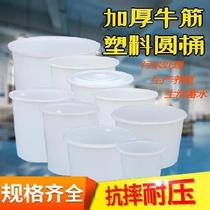 Beef Tendon barrel resistant to acid and base 700 kg plastic bottle oversized tofu cylinder rice cylinder food grade fishing barrel large barrel