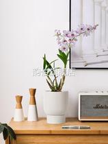 ins Nordic white flower pot ceramic small desktop net red orchid pot breathable Phalaenopsis special flower pot set