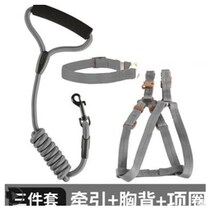 Large adjustable dog leash large dog leash small dog collar