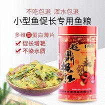 Guppy fish feed fish food small fish Tropical Fish Fish Fish Fish Fish Fish Fish Fish Fish Fish Fish Fish Fish Fish Fish Fish Fish