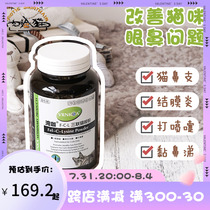 Flesh Face Cat American Bay Cafe Cat With Lysine Anflour Kitty Nose Branch Sneeze and Sneeze Cat Herpes Virus