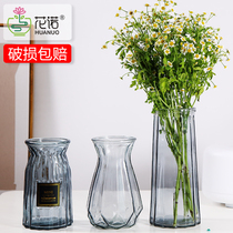 Nordic Style Glass Intercalation Vase Transparent Dry Flowers Creative Living Room Flowers Flower Arrangement Water Raising Brief Lilium Pendulum