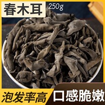 Auricularia auricula stubble basswood black fungus special single spring fungus mouse ear hand selection 250g