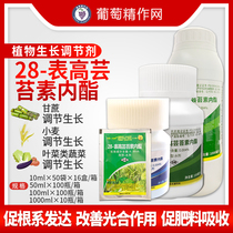 Cloud Big YD120 28 Table High Brassinolactone Rice Wheat Leaf Vegetable Plant Growth Regulator