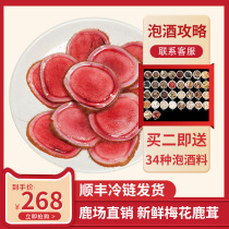 Jilin Plum Blossom Antler Pieces Plum Blossom Deer Whole Branches Midsection Slices (100 gr) Fresh With Blood-Infused Wine Saucepan Soup