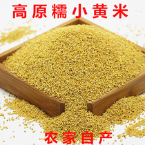 Guizhou glutinous yellow millet small yellow rice millet slag glutinous millet grains non-Northeast rhubarb rice 500g