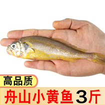 Small yellow croaker 3kg small yellow croaker fresh frozen East China Sea Zhoushan sea catch deep sea seafood barbecue ingredients