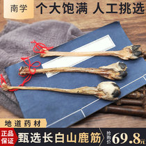 Deer tendon dry goods Deer tendon dry with hooves Jilin Changbai Mountain main tendon Sika deer tendon soaked in wine and boiled soup with antler deer whip