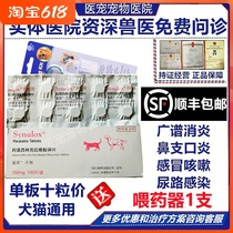 Steno 250mg tablets Pet amoxicillin clavicate potassium tablet dog feline infection with 10 grain