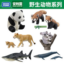 Domey Ca 'anlia Simulated Animal Model Toy Children Early Learning Wise Whale Shark Panda Marine Wild