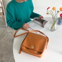 Fat fat homemade bag female 2021 new Korean ins super fire female bag chic retro bag shoulder bag oblique cross bag