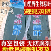 Farm specialty direct sales Dragon Boat Festival scorpion leaves fresh wild selenium-rich fragrance source zongye 50 pieces of Ruo leaves vacuum fresh-keeping