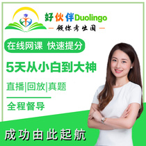 Good partner Multi-neighbour Duolingo test live online course Training 1v1 Customized course
