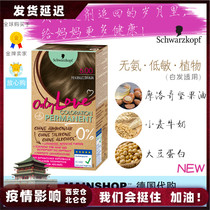 Schwarzkor Ammonia-free hair dye onlylove black tea linen gray brown honey tea rice brown green wood tea Brown