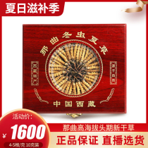 Tibet Nagqu Cordyceps 10g gift box