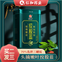 Gynostemma Pentaphyllum Wild Premium Flagship Store Tea Sprouts