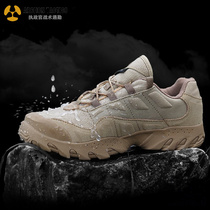 Archon spring and Autumn leather tactical shoes Mens special forces combat shoes Desert waterproof outdoor mountaineering shoes for training military fans