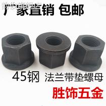 Flange with pad nut Hexagon with pad nut M8M10M12M16M18M20M24-M36 mold platen nut