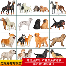 Simulation animal toy bully Dubin De Mu dog model movement 1 6 with soldiers hand boy gifts