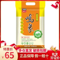 Tai Lan Ming Xiangzun Guan oil sticky rice 10kg 20kg Xiangzhou specialty rice fragrant rice Rice indica rice 2 bags