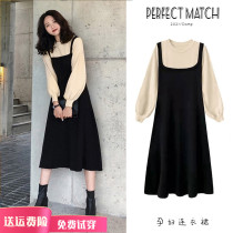 Spring and Autumn Dress for Pregnant Women Spring and Autumn Dress 2021 Fashion Style Fake Two Medium Long Skirt Out Autumn Set