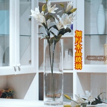 European glass vase hexagonal transparent large rich bamboo Lily hydroponic flower bottle living room flower arrangement desktop ornaments