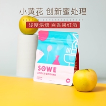 Minato Coffee Small yellow flower Costa Rica Canet Raisin honey processed coffee beans can be ground 120g