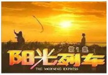 Support DVD Sunshine Train Fan Wenfang Chen Hanwei Guo Shuxian 20 episodes 2 discs