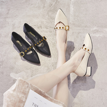 Tide brand 2021 spring new low-heel shoes leather retro shallow mouth pointed head comfortable net red wild thick-heeled womens shoes