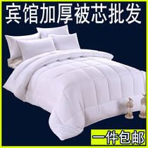 Hotel bedding quilt quilt quilt core Hair Velvet air conditioning by spring and autumn bedding thickened winter quilt summer quilt