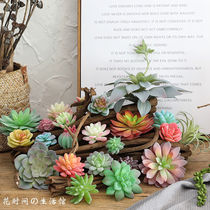 Simulation succulent plant wholesale variety multi-hand feel fake flower combination potted set indoor decoration ornaments