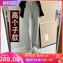 Long sweatpants womens autumn and winter plus velvet thickened bunches loose trousers long version of tall gray casual trousers