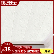 Wool Adobe House Roof Ceiling Ceiling Self-Adhesive Wallpaper 3d Solid Foam Wall Paper TV Background Wall Sticker Bedroom