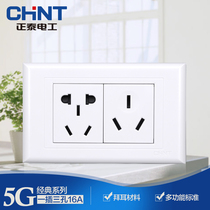 Chint Type 118 wall switch socket two position 10A five hole plus 16A three hole socket panel