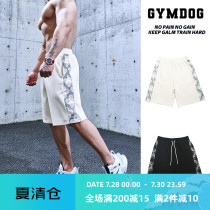 GYMDOG homemade tide brand broccoli element fitness shorts mens sports five-point pants summer running training pants