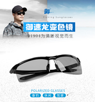 Royal brand fishing glasses smart photosensitive color change mirror Outdoor Fishing Watch anti dazzling driving polarized eye sun glasses