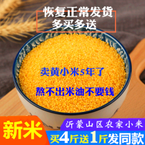 Huang Xiaomi This year the new rice farmhouse small yellow rice 500g edible moon rice rice baby rice millet staying porridge