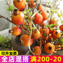 Simulation of pomegranate fruit dried flower fake pomegranate simulation fruit branches decoration imitation pomegranate flower branches pomegranate flower arrangement arrangement