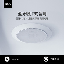 Bluetooth ceiling sound Home living room speaker Indoor shop restaurant ceiling mounted embedded wireless speaker