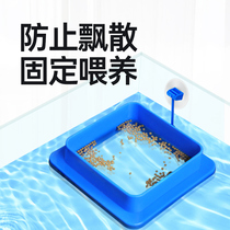 Small fish feeding ring fish tank Floating fish food feeding ring fish food feeder Tropical fish feed guppy feed