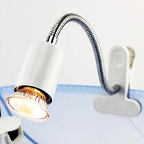 Tortoise Sunback lamp 3 0 Sun lamp reptile heating lamp water turtle lamp holder turtle full spectrum tortoise tortoise