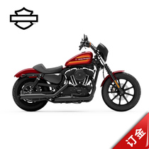 2021 IRON 1200 1200 tough guy Harley-Davidson motorcycle (New Car deposit)