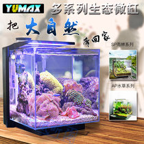 yumax Small fish tank