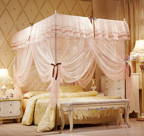 Floor-standing palace mosquito net three-door household 32mm bold stainless steel bracket encrypted square top mosquito net princess wind