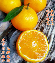 Orange fresh orange citrus 3kg whole box of water source heart farmers Alpine oranges now pick sweet and sour skin thin slag