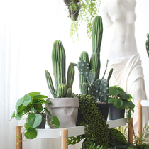 Sicilian Emulation Plant Cactus Senman Post Potted Nordic Home Living Room Decoration Green Plant Tabletop Pendulum