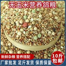 10 catties of corn-free nutrient feed pigeon food feed carrier pigeon ornamental pigeon meat pigeon young pigeon old pigeon racing pigeon food new grain