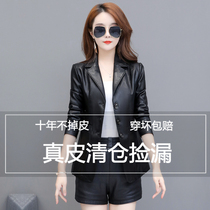 Spring and Autumn Winter Haining womens leather clothing short Korean slim suit collar small leather jacket large size womens suit jacket