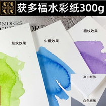 waterford Wedge high white water color paper wool edge 300g thick medium fine print bulk watercolor paper 32K16K8K